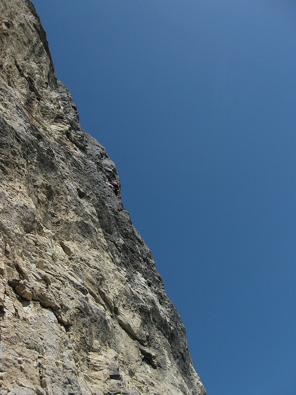 IMG_9930.JPG