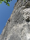 IMG_9917