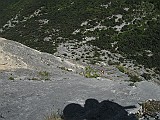IMG_9939