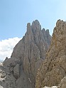 IMG_8981