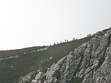 IMG_5945