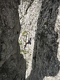 IMG_5947