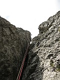 IMG_5949