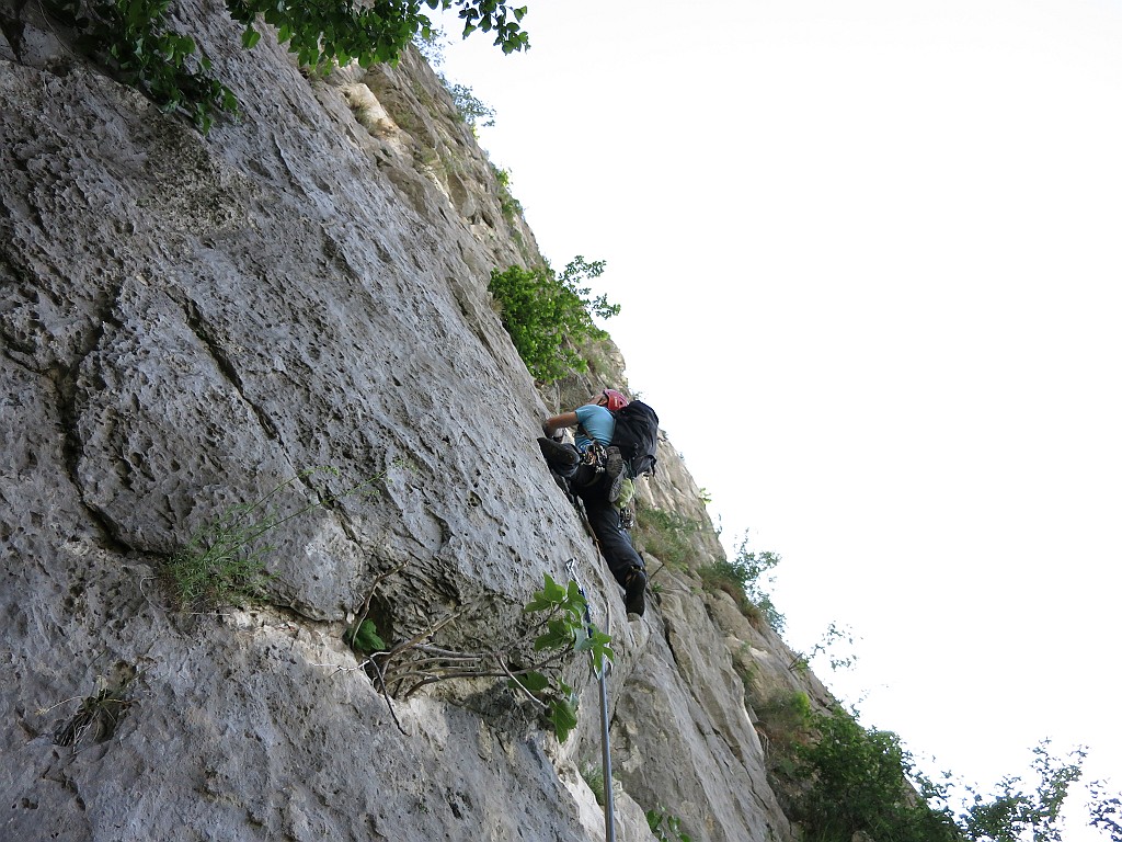 IMG_0465.JPG