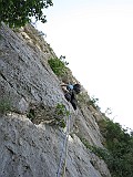 IMG_0464