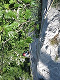 IMG_0469