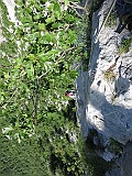 IMG_0470