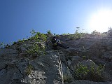 IMG_0478