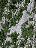 IMG_0486