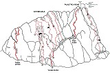 VieAntimedale