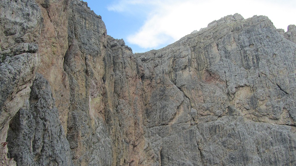 IMG_5563.JPG