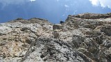IMG_5536