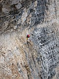 IMG_2650