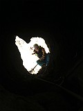 IMG_0006