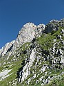 IMG_8384