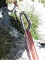 IMG_8406