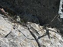 IMG_8407