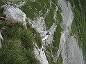 IMG_8419