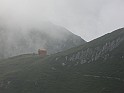 IMG_8431