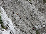IMG_4942