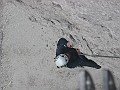 IMG_1648