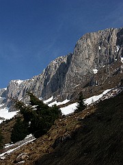 IMG_2418