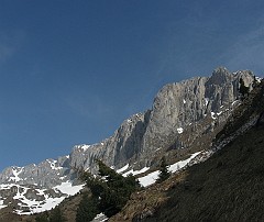 IMG_2424