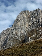 IMG_2428