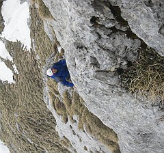 IMG_2439