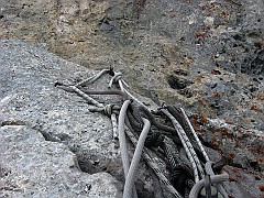 IMG_2440
