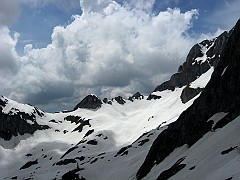 IMG_2443