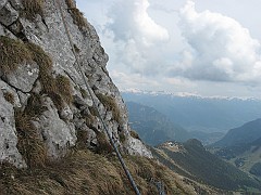 IMG_2445