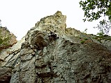 P1060453