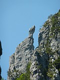 P1060467