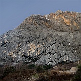 Casale