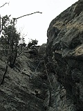 IMG_9491