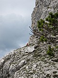 IMG_2690