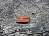 IMG_0503
