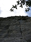 IMG_0506