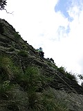 IMG_0514