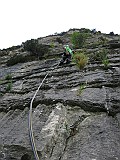 IMG_0515
