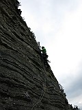 IMG_0523