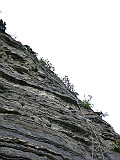 IMG_0527