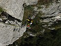 IMG_9194