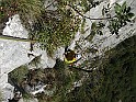 IMG_9198