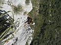 IMG_9218