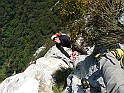 IMG_9236