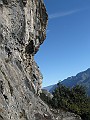 IMG_2594