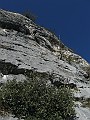 IMG_2603