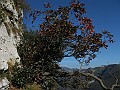 IMG_2612